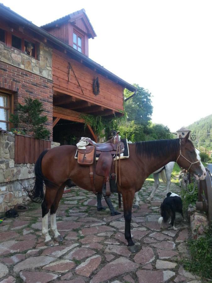 Ubytovani Steak-Hredle Εξωτερικό φωτογραφία